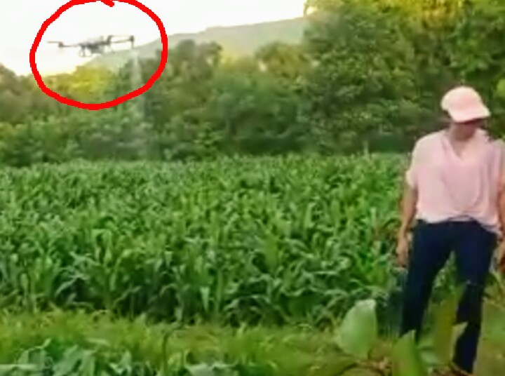 Direktur Utama PT.Sarottama bunda Srikandi,saat cek lahan usai disemprot pupuk cair dengan pesawat Drone
